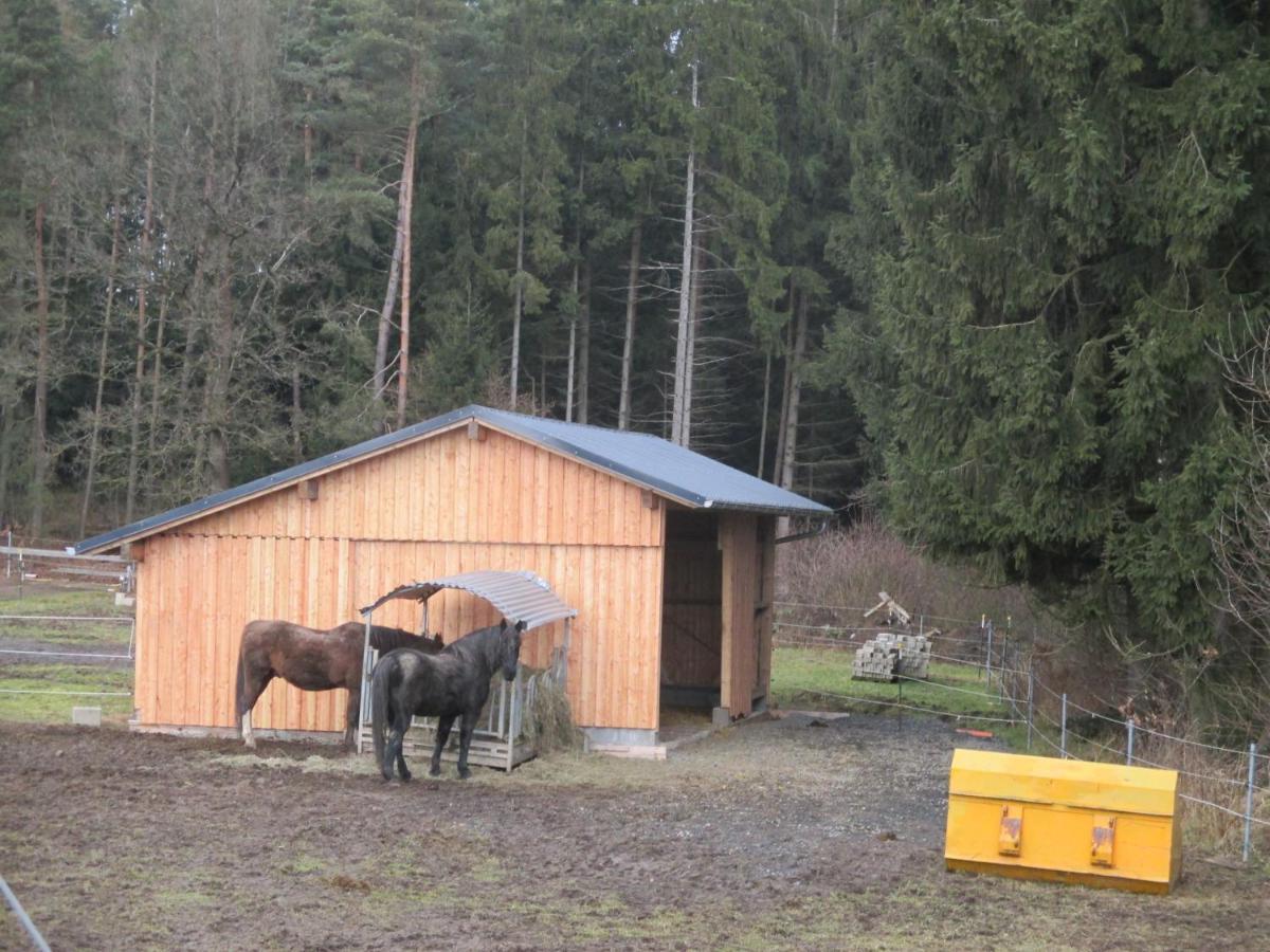 Baerenhof Daire Tirschenreuth Dış mekan fotoğraf